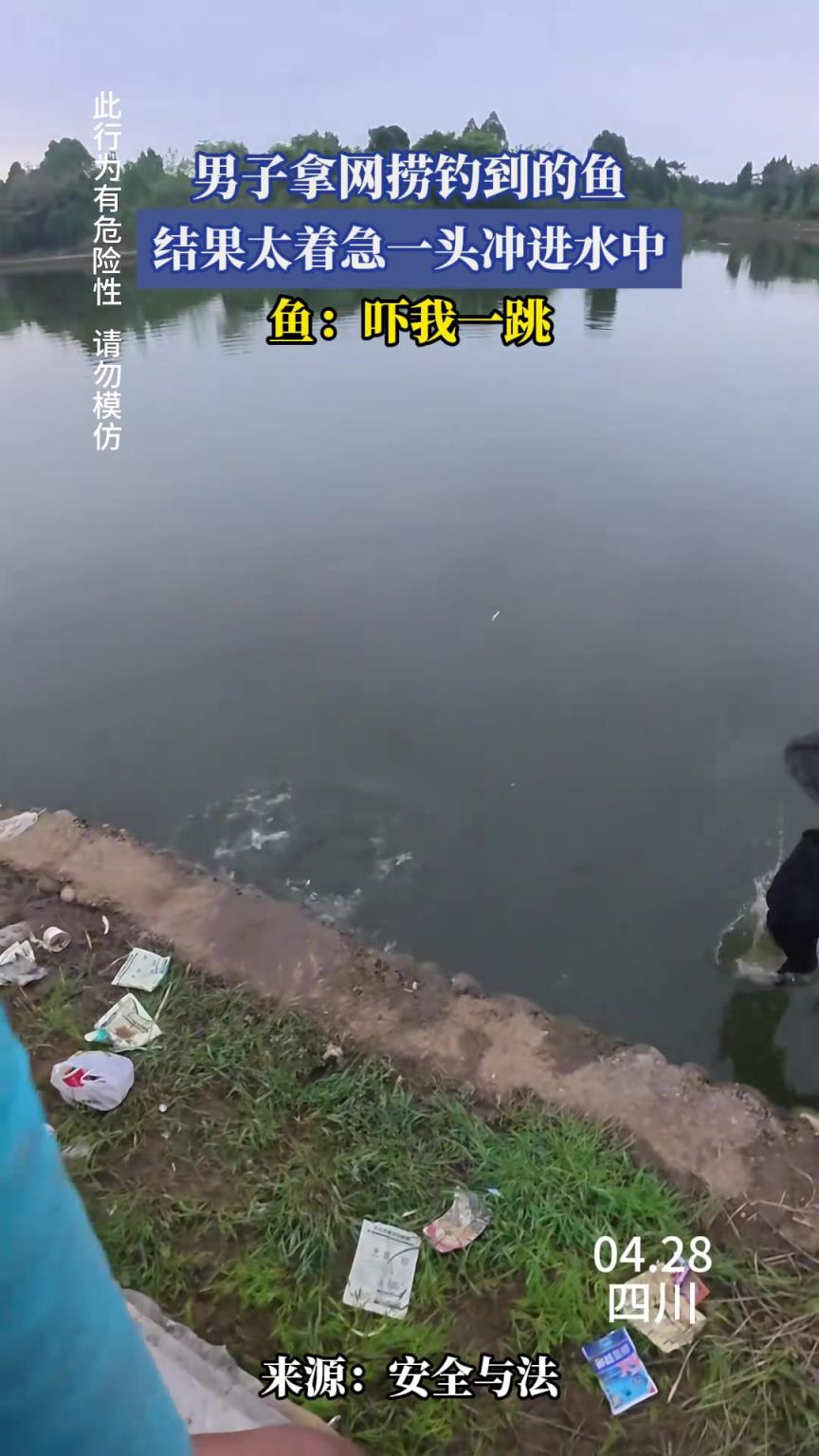 男子拿网捞钓到的鱼，结果太着急一头冲进水中，鱼：吓我一跳