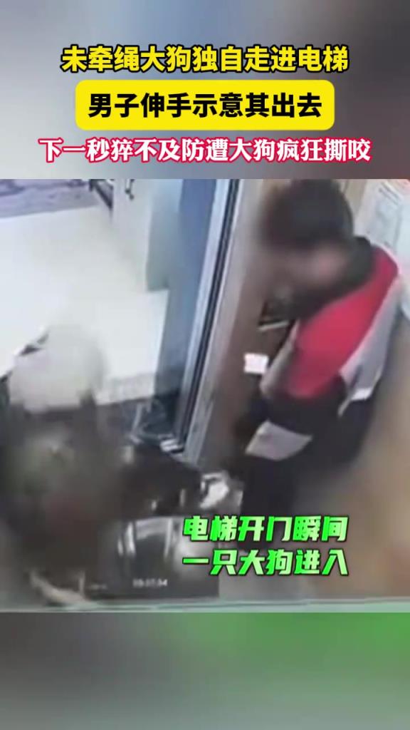 大狗独自走进电梯，男子伸手示意其出去下一秒猝不及防遭疯狂撕咬