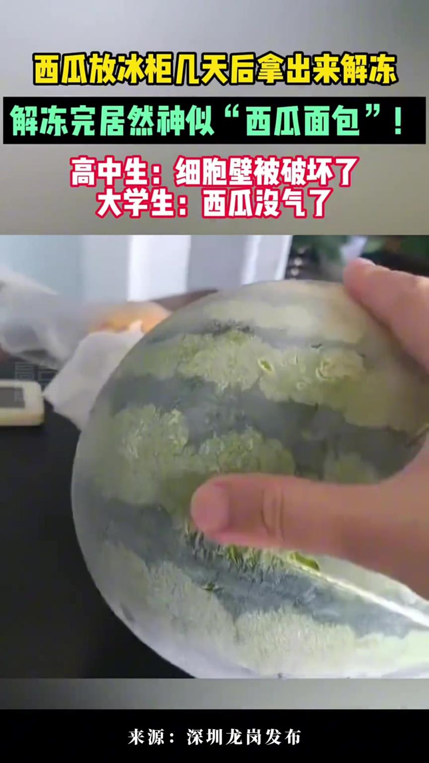西瓜放冰柜几天后拿出来解冻，解冻完居然神似“西瓜面包”！