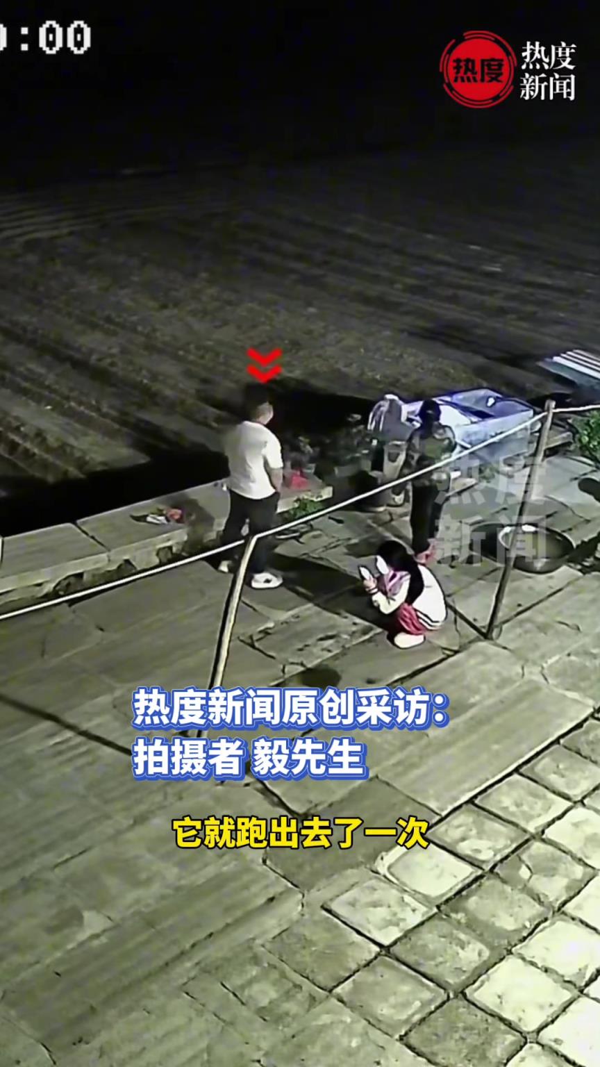 全家着急找生病初愈的狗，它却在窝里摆烂装聋