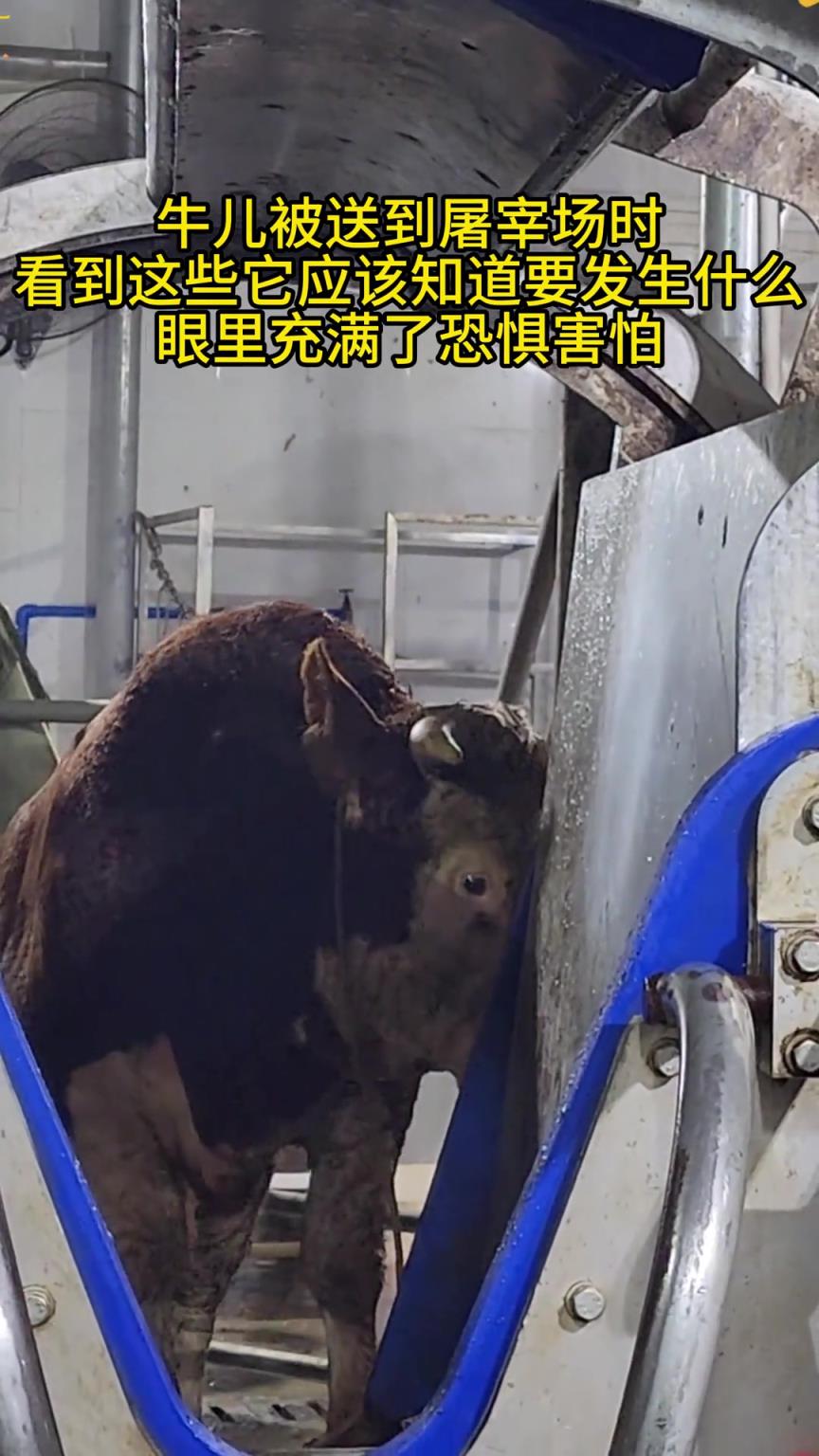 最后关头来临时都会有知觉