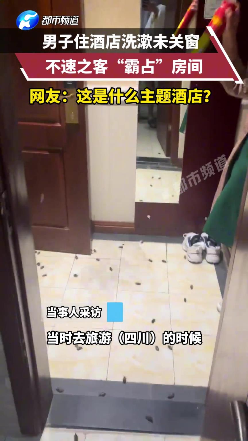男子住酒店洗漱未關(guān)窗，不速之客“霸占”房間