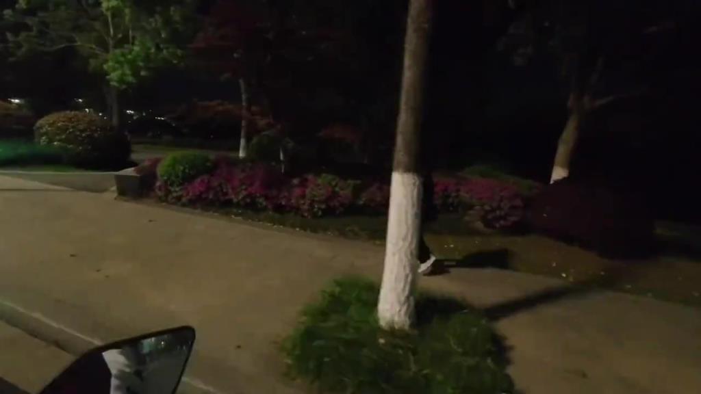 这喇叭太好用了，直接驱散路上的行人