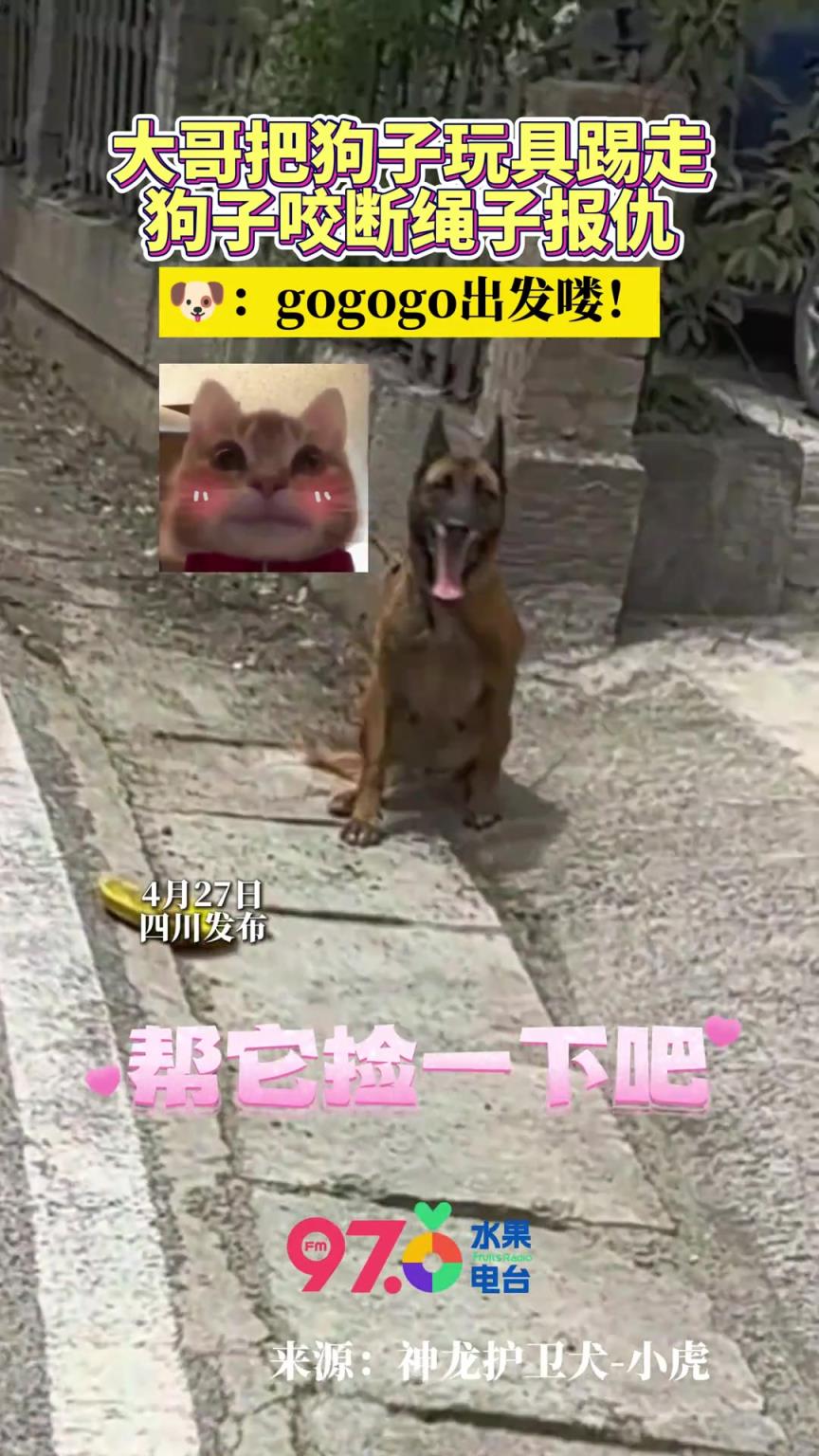 男子調(diào)戲狗狗，結(jié)果狗子咬斷繩子沖出復(fù)仇