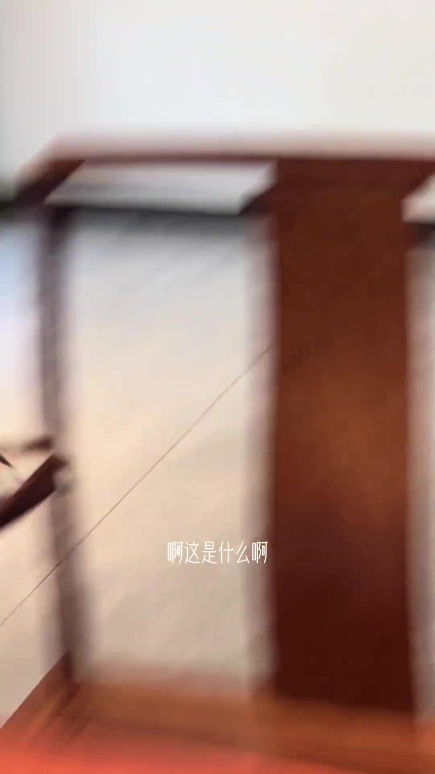 黄鼠狼进屋里抓老鼠，一群人大喊大叫给黄鼠狼整不会了