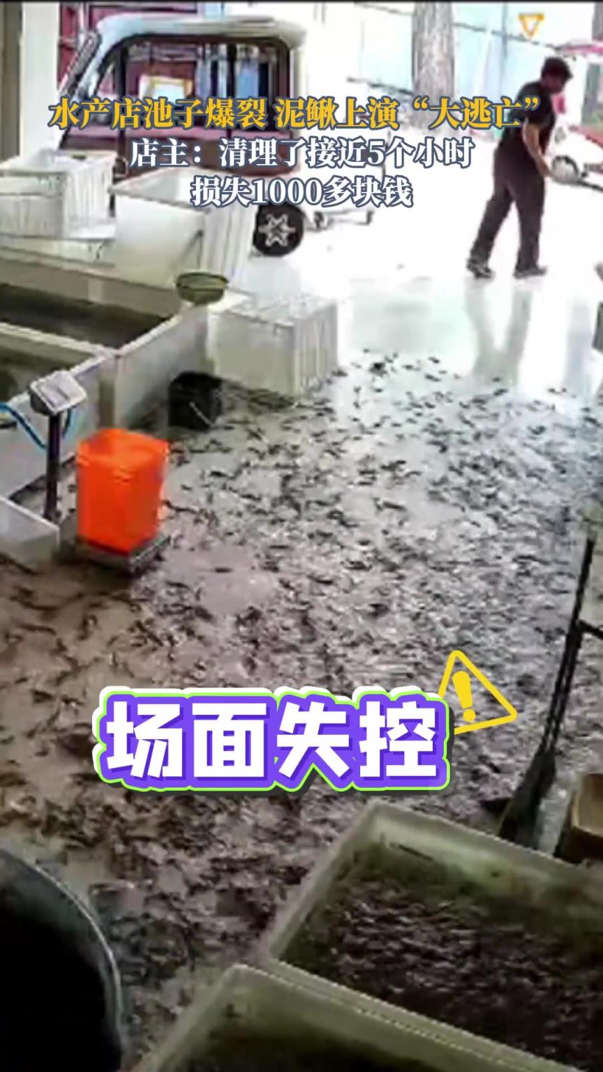 水产店上演泥鳅“大逃亡”，池子突然爆裂，泥鳅爬的满地都是。