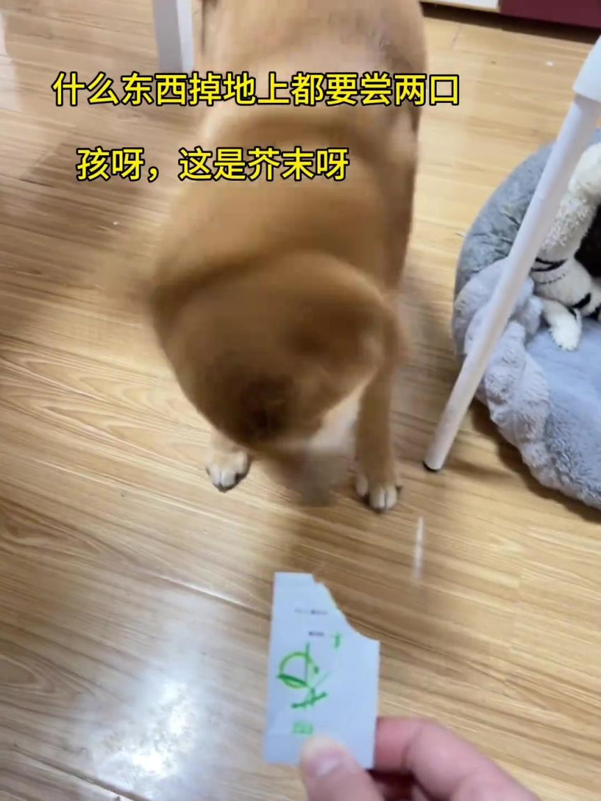 狗子：妈妈酱，这小味道有点上头上头