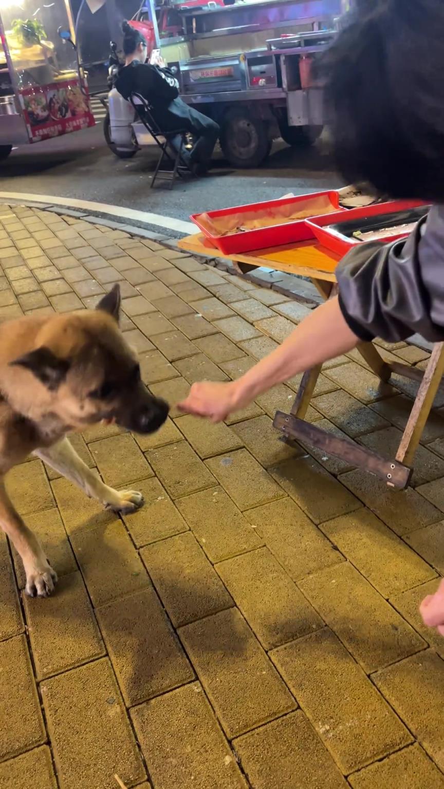 狗子：这日子怎么可能跟谁过都一样！！！