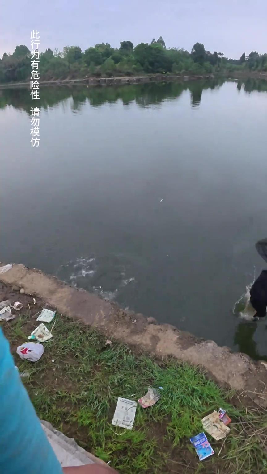 鱼：吓我一跳