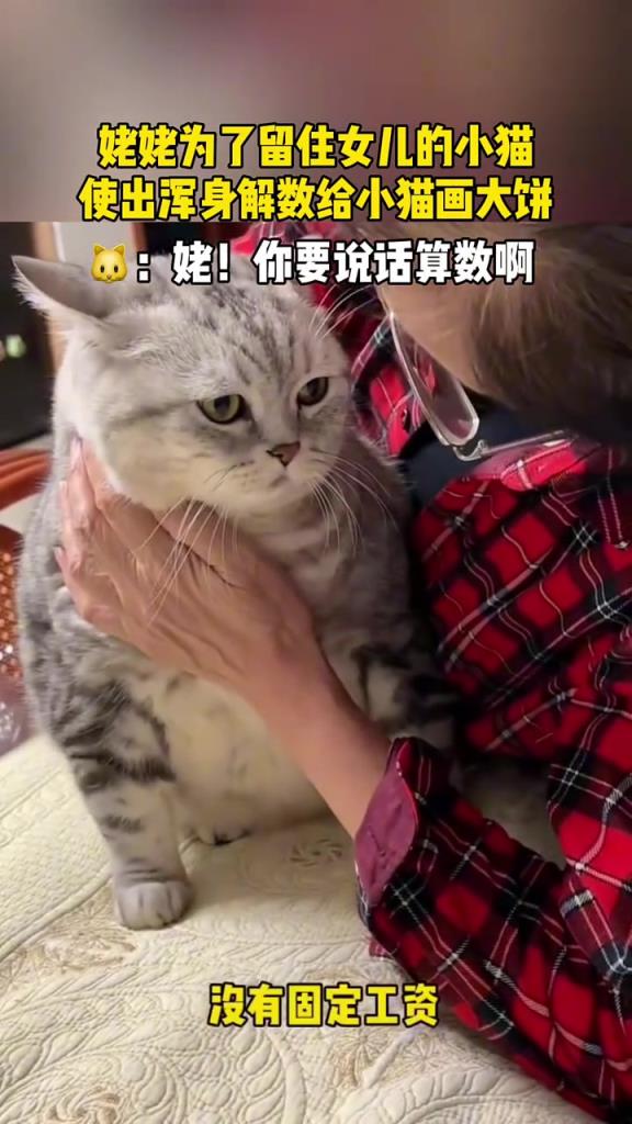 姥姥為了留著女兒的小貓，使出渾身解數(shù)給小貓畫大餅