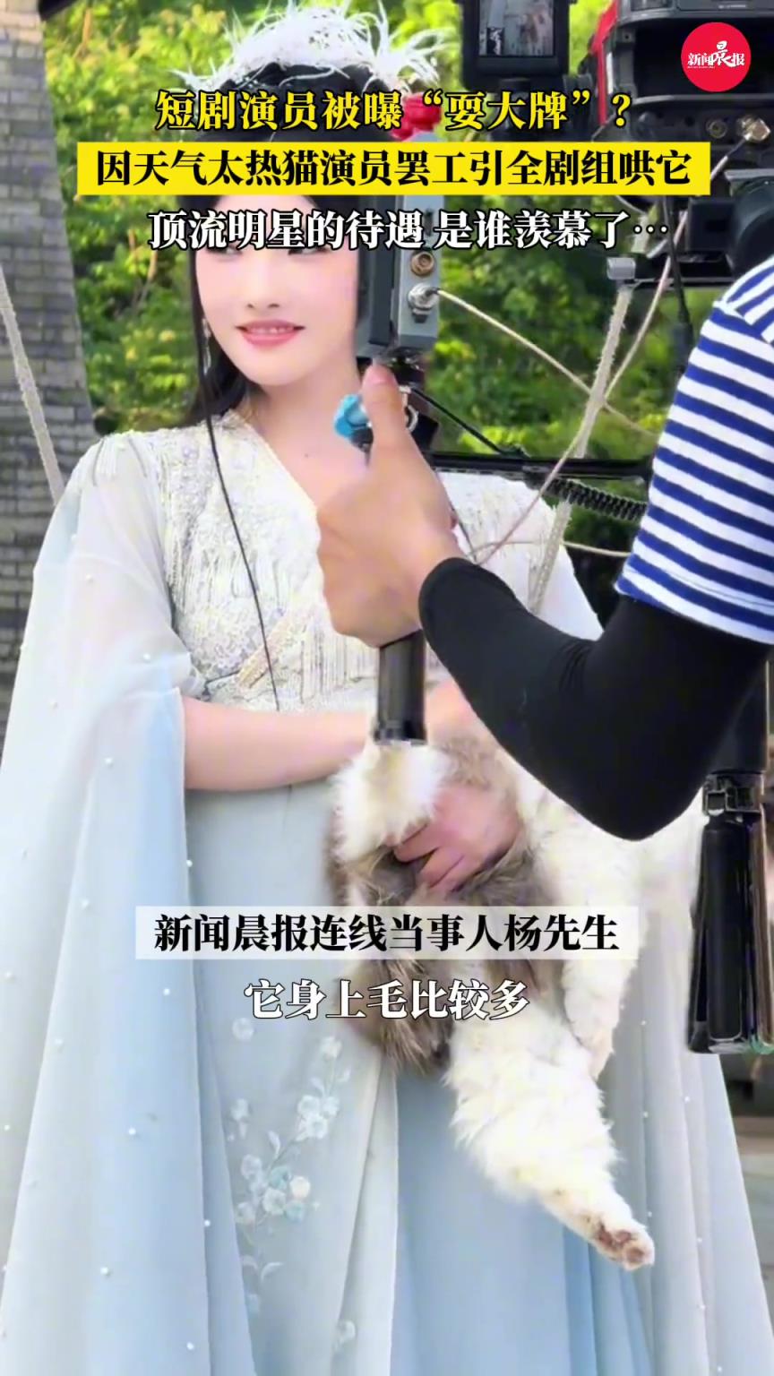 短剧演员被曝“耍大牌”？因天气太热猫猫罢工引全剧组哄它