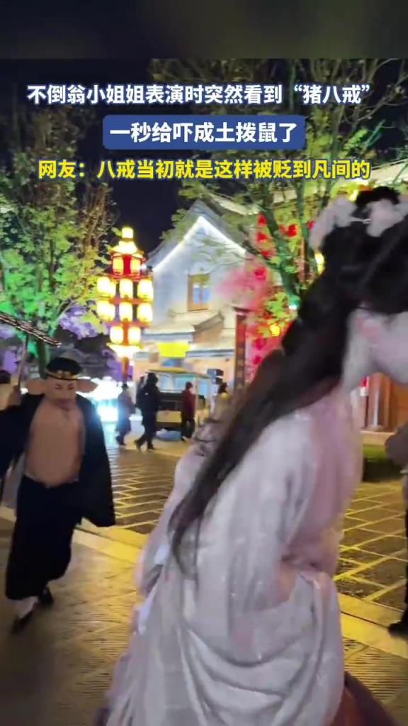 不倒翁小姐姐遇 “猪八戒”，被吓成土拨鼠