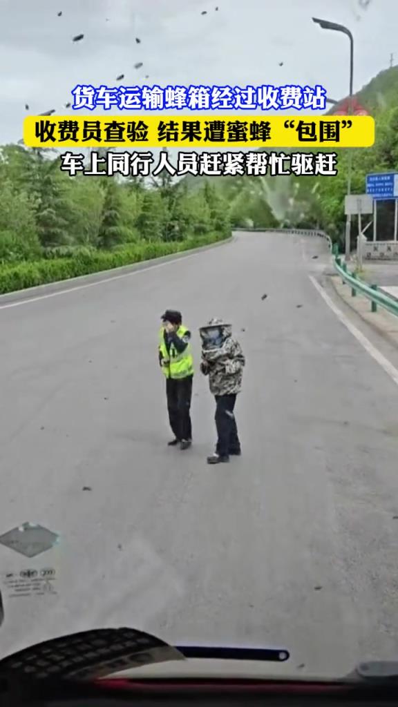 貨車運(yùn)輸蜂箱經(jīng)過(guò)收費(fèi)站 收費(fèi)員查驗(yàn) 結(jié)果遭蜜蜂包圍