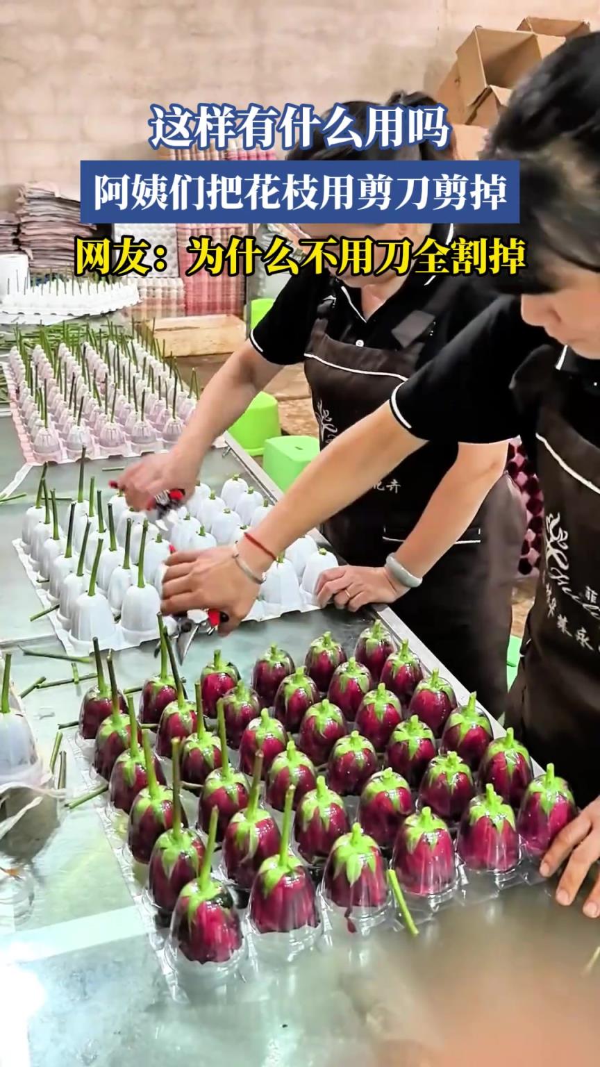 这样有什么用吗？阿姨们把花枝用剪刀剪掉，网友：为什么不用刀割