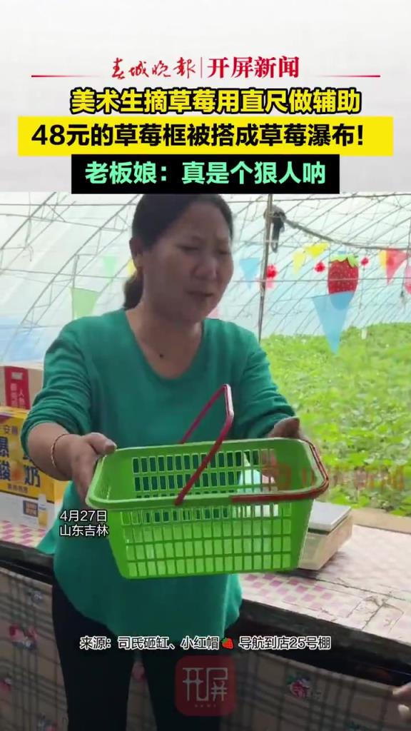 美术生摘草莓用直尺做辅助，草莓框被搭成草莓瀑布