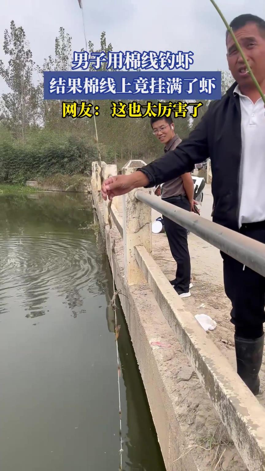 男子用棉線釣蝦，結(jié)果棉線上竟掛滿了蝦，網(wǎng)友：這也太厲害了