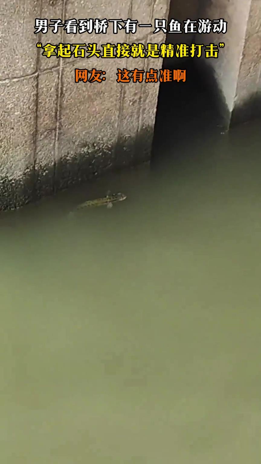 男子看到橋下有一只魚(yú)在游動(dòng)，拿起石頭直接就是精準(zhǔn)打擊