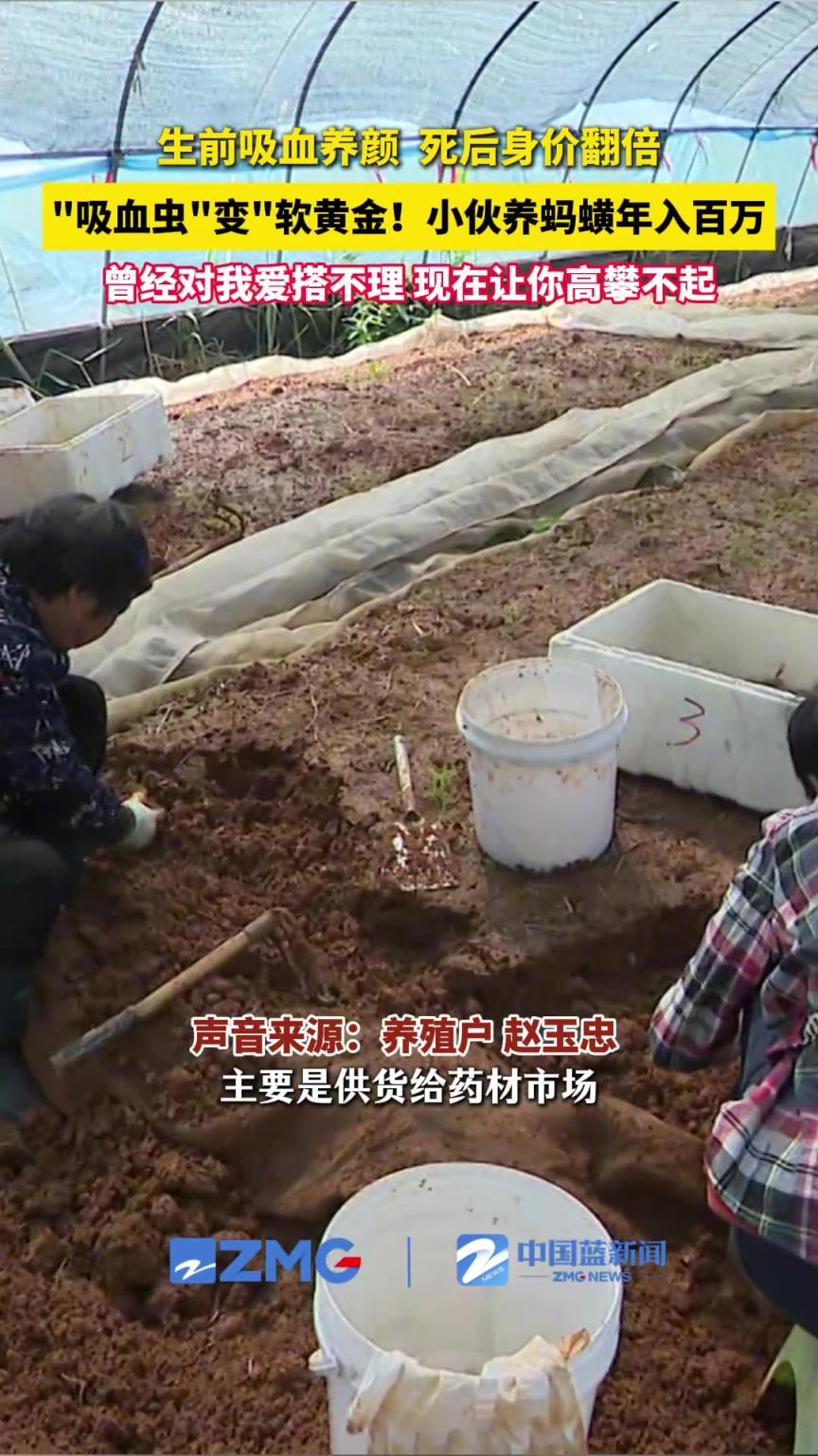 曾经对我爱搭不理，现在让你高攀不起！