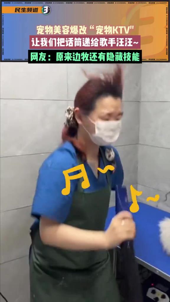 寵物美容爆改“寵物KTV“ ，讓我們把話筒遞給歌手汪汪