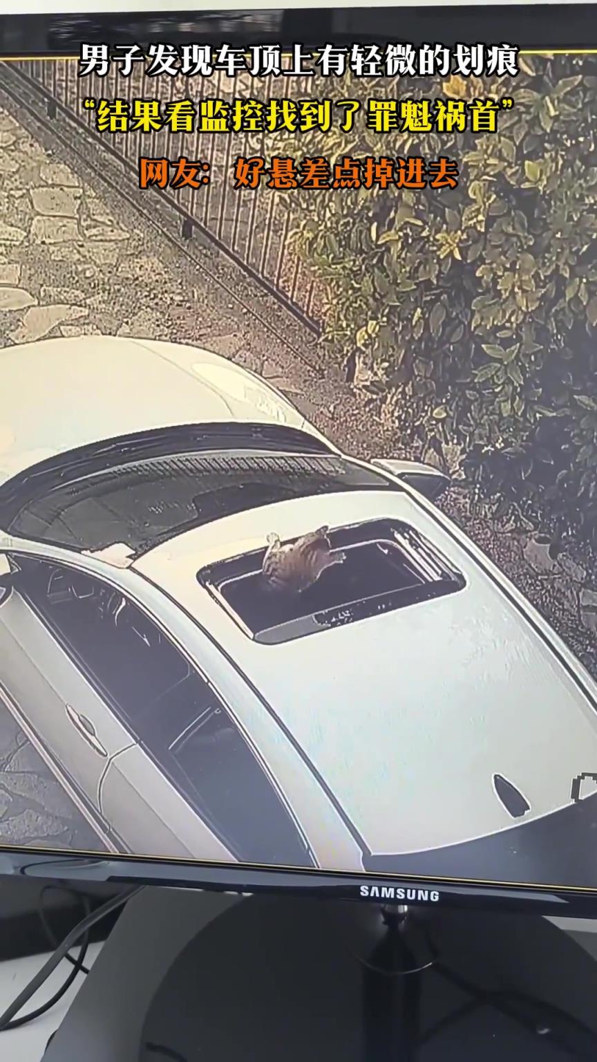 男子發(fā)現(xiàn)車頂上有輕微的劃痕，結果看監(jiān)控找到了罪魁禍首