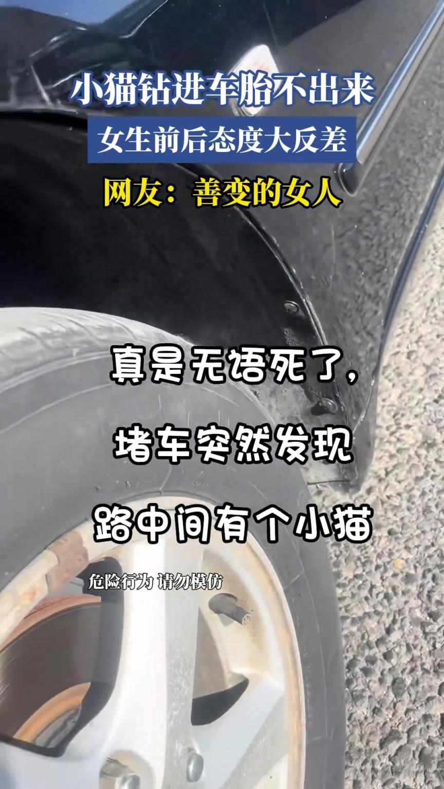 小貓鉆進(jìn)車胎不出來(lái)，女生前后態(tài)度大反差，網(wǎng)友：善變的女人