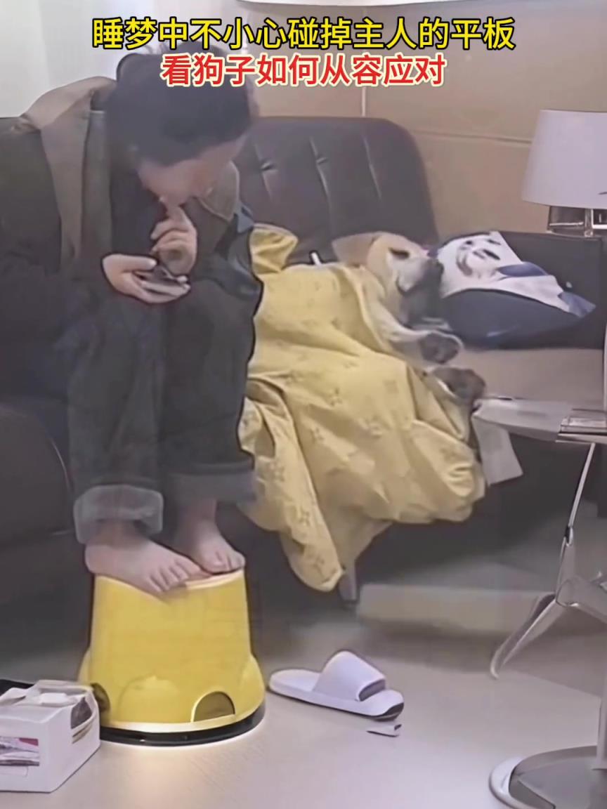 狗子：只要我假装自己是梦游，就不会怪到我头上