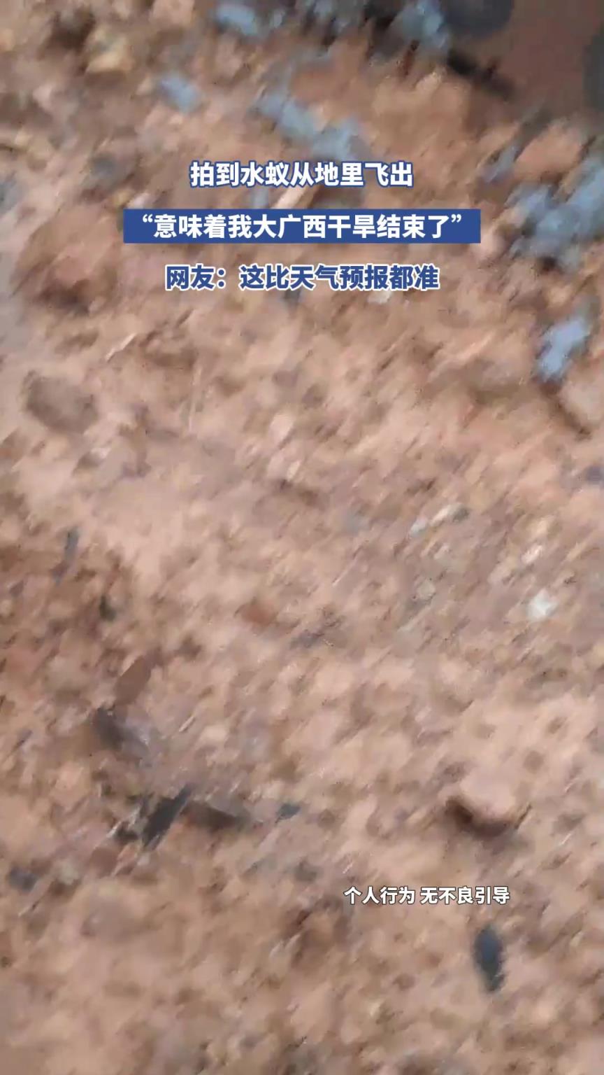 拍到水蟻從地里飛出，意味著我大廣西干旱結(jié)束了