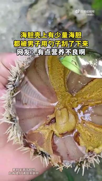 男子用勺子将海胆壳上少量海胆刮了下来