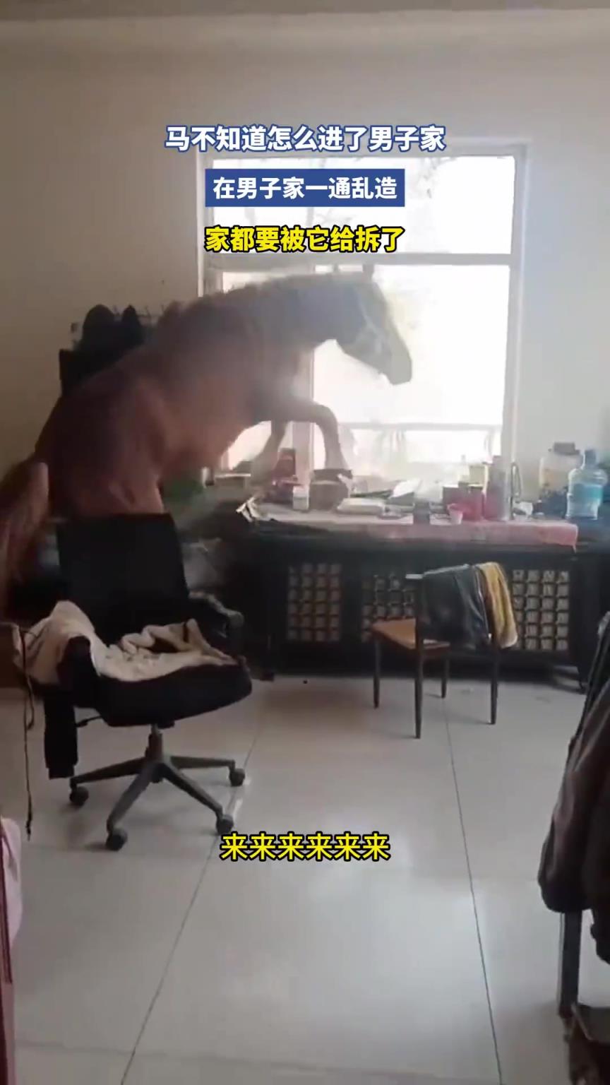 马不知道怎么进了男子家