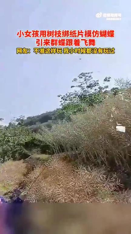 小女孩用树枝绑纸片模仿蝴蝶，引群蝶跟随飞舞