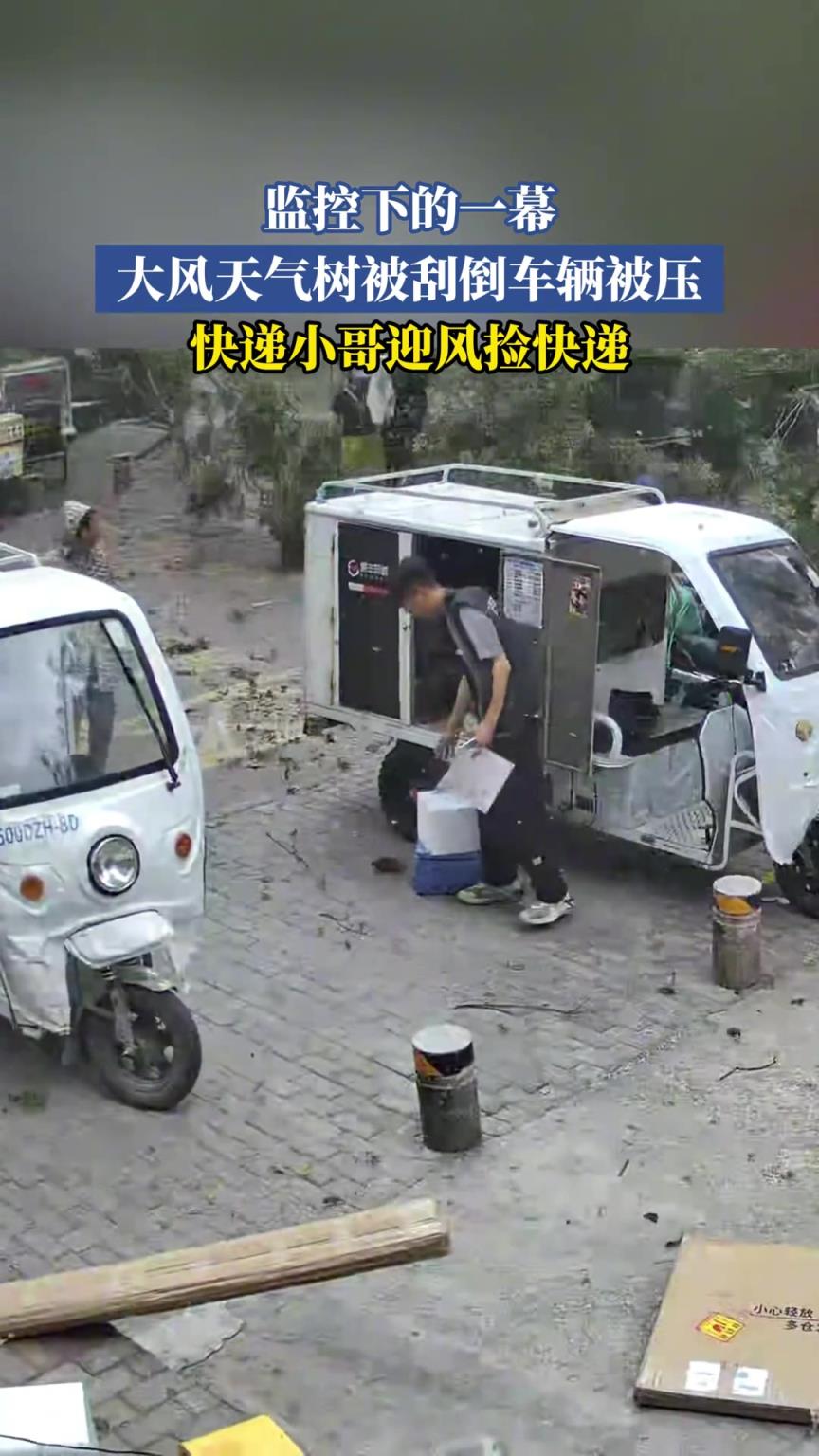 监控下的一幕 大风天气树被刮倒车辆被压