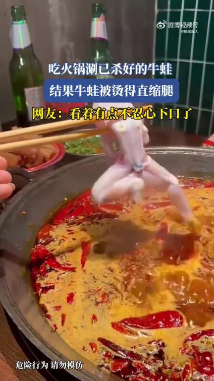吃火锅涮牛蛙，牛蛙被烫缩腿