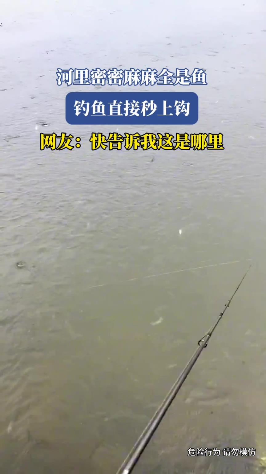 河里密密麻麻全是鱼，钓鱼直接秒上钩