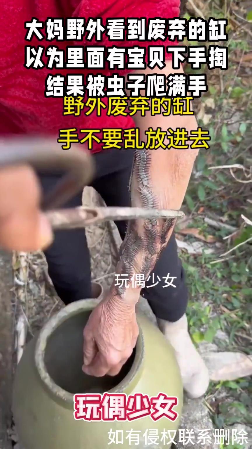 大妈野外掏废弃缸找宝贝，手被虫子爬满