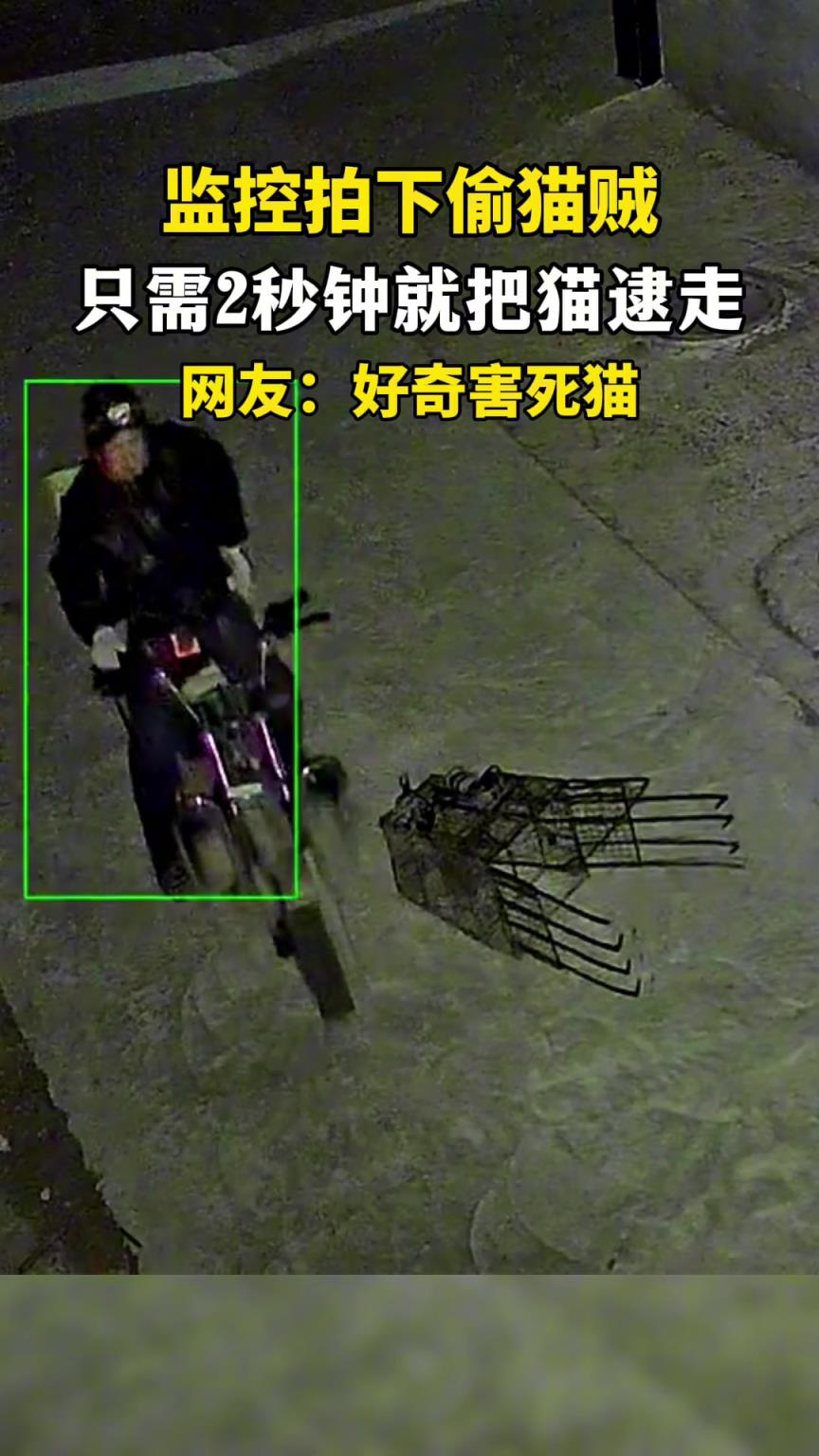 主人监控摄像头拍下 男子2秒钟偷走自己的猫