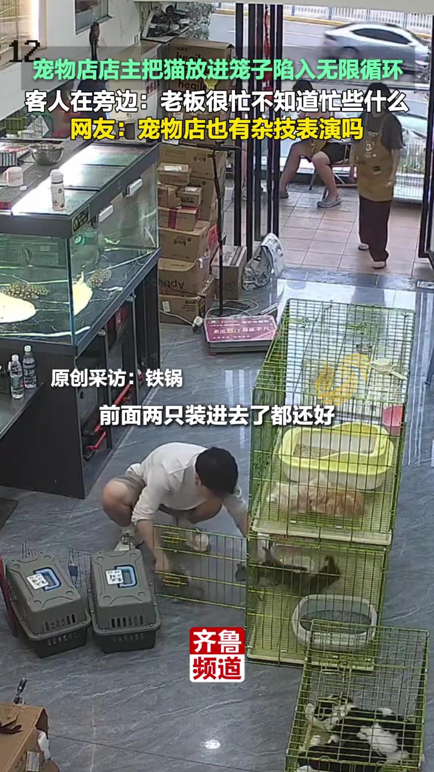寵物店店主把貓放進(jìn)籠子陷入無限循環(huán)
