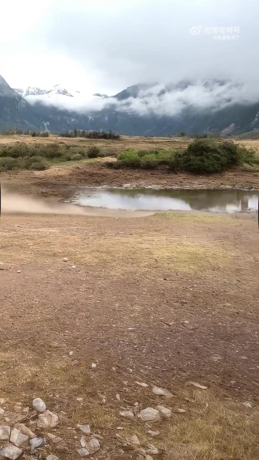 灵光一闪避，生死隔毫厘