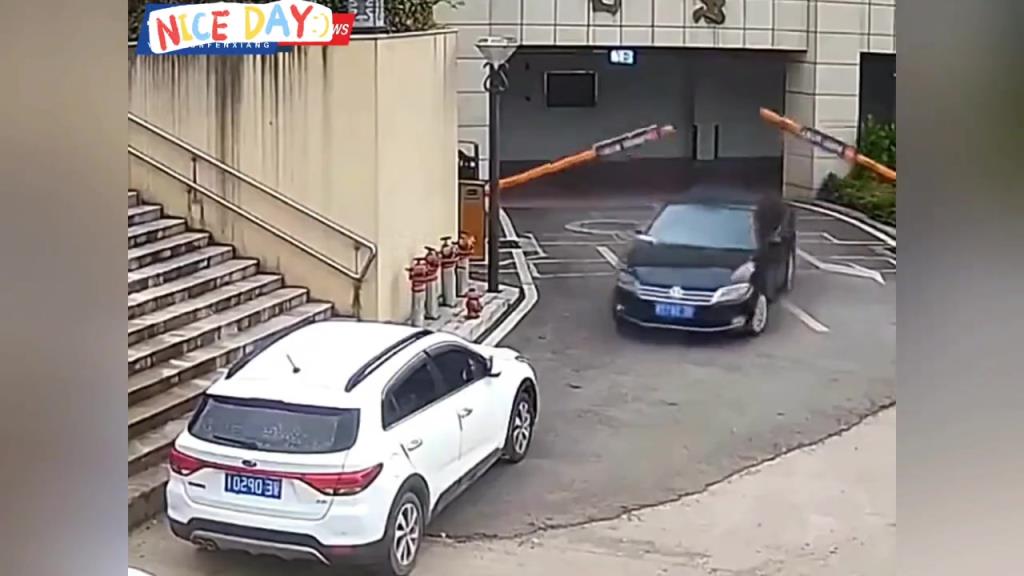 我天不服地不服，最服女司機(jī)開車上階梯！