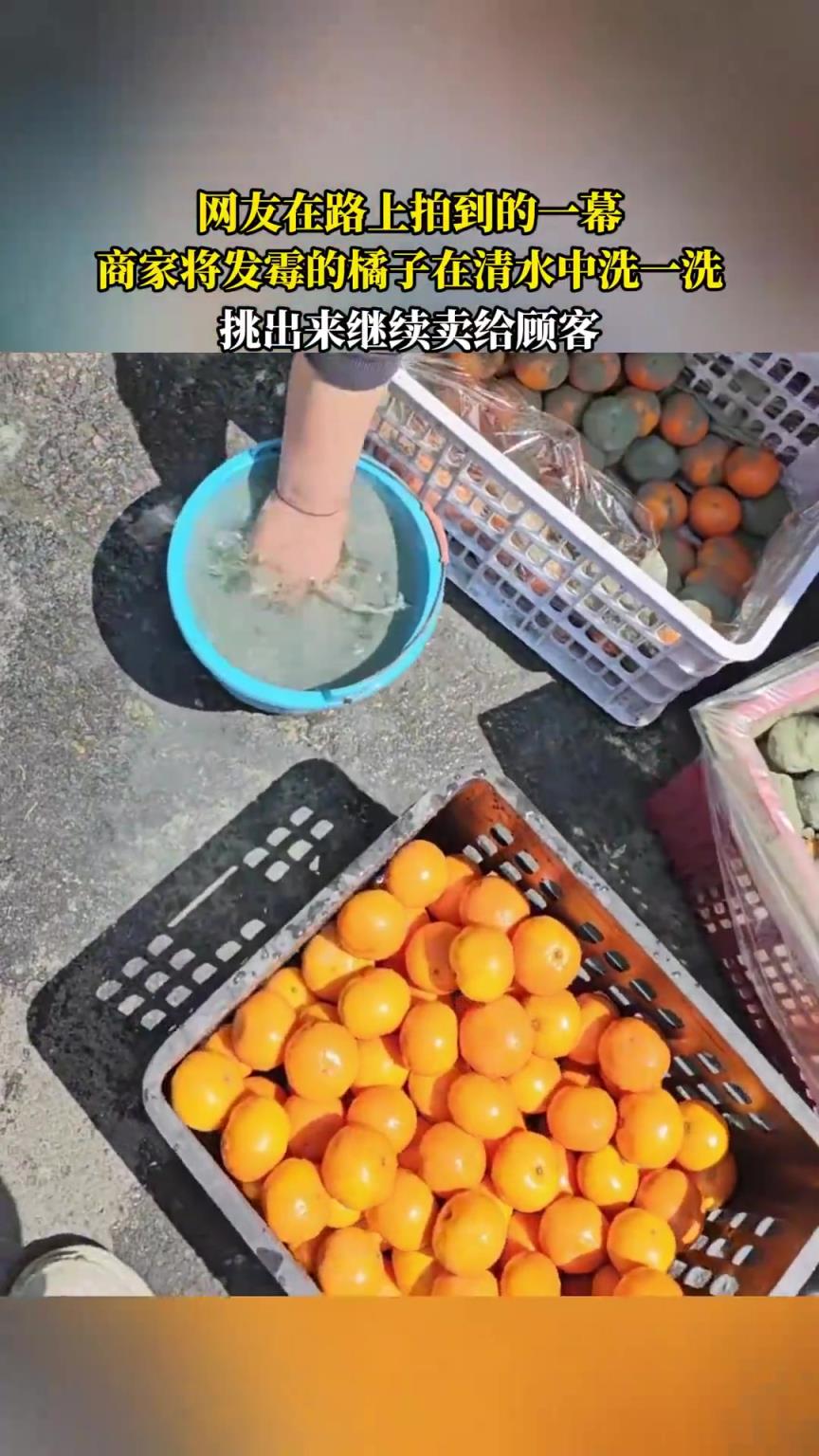 網(wǎng)友在路上拍到的一幕，商家將發(fā)霉的橘子在清水中洗一洗?。? title=