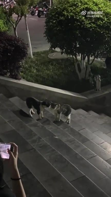 能讓大學(xué)生半夜不回寢的原因有多離譜… ?