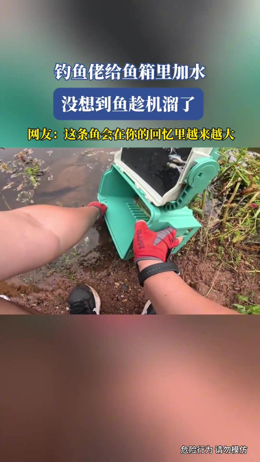 钓鱼佬给鱼箱里加水，没想到鱼趁机溜了