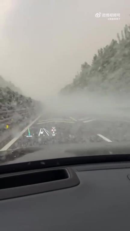 高速某路段现大量杨絮致视线受影响，行车请注意安全