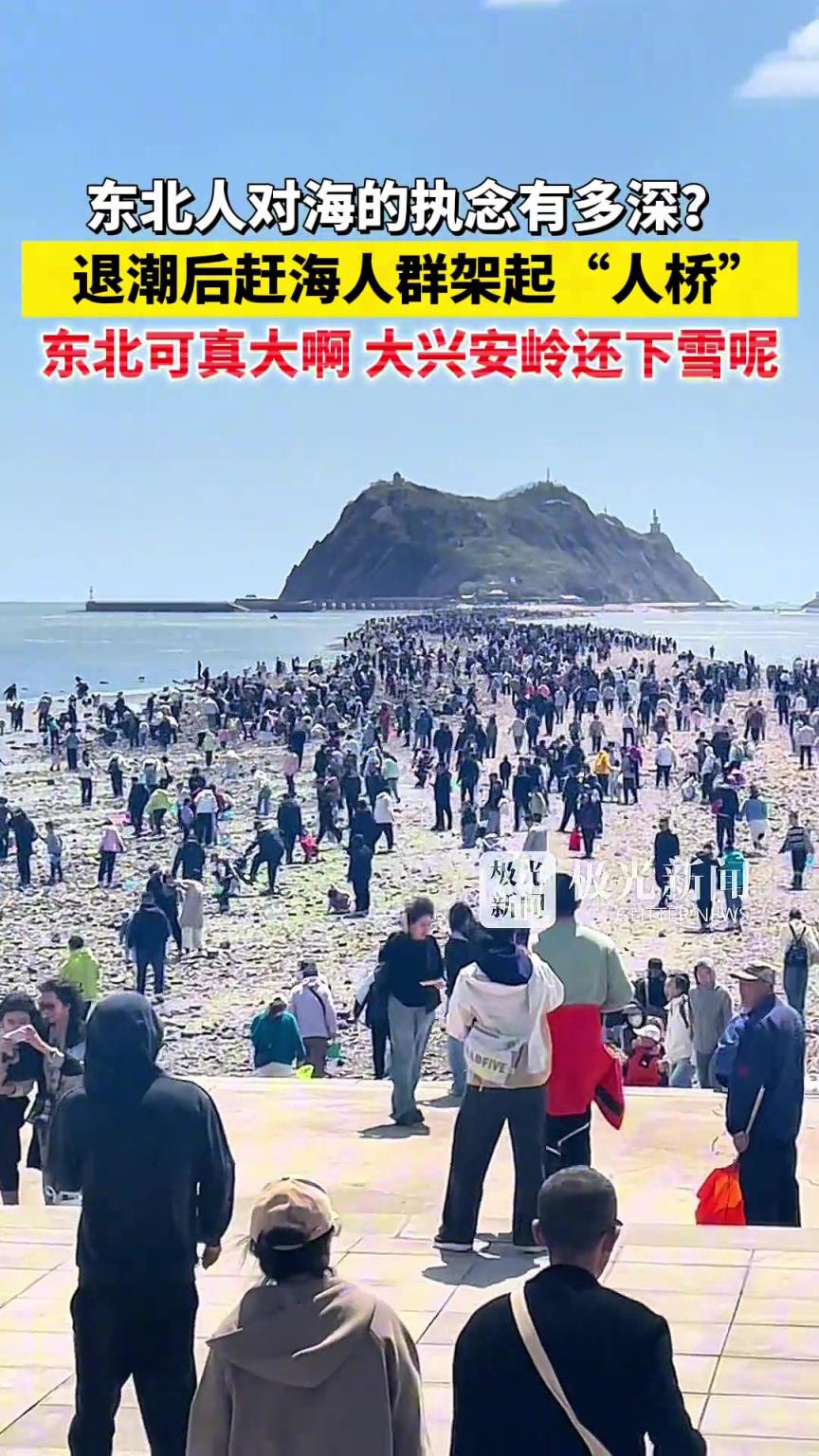 东北人对海的执念有多深？退潮后赶海人群形成“人桥”！