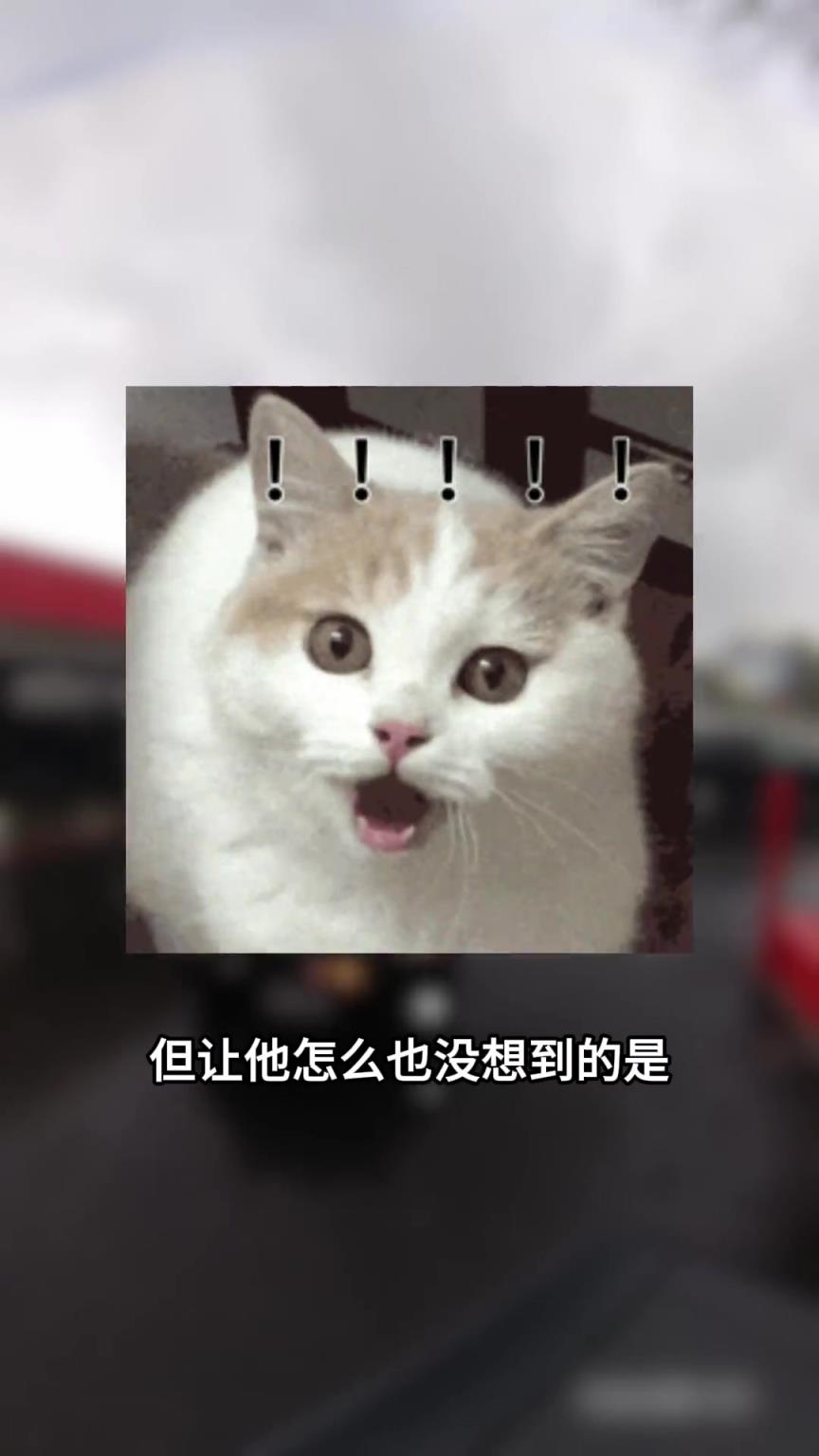 就在警察下车给他开罚单时，老天爷帮了他一把！