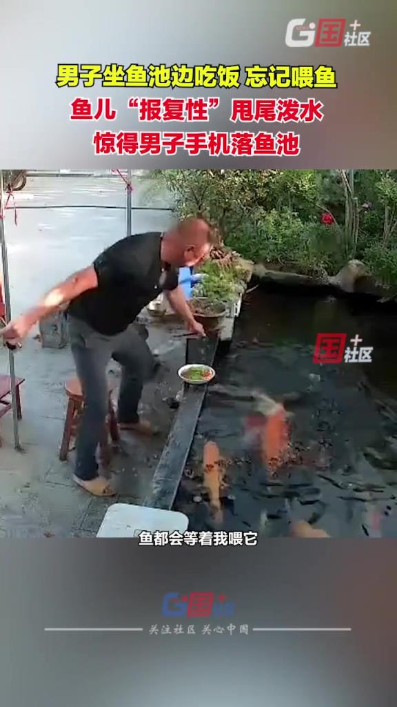 男子忘记喂鱼 鱼儿报复性甩尾泼水