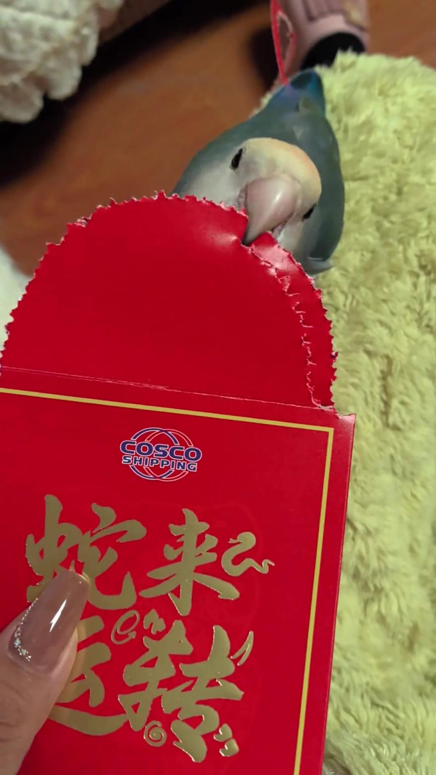 八級鉗工！就問你牛不牛？