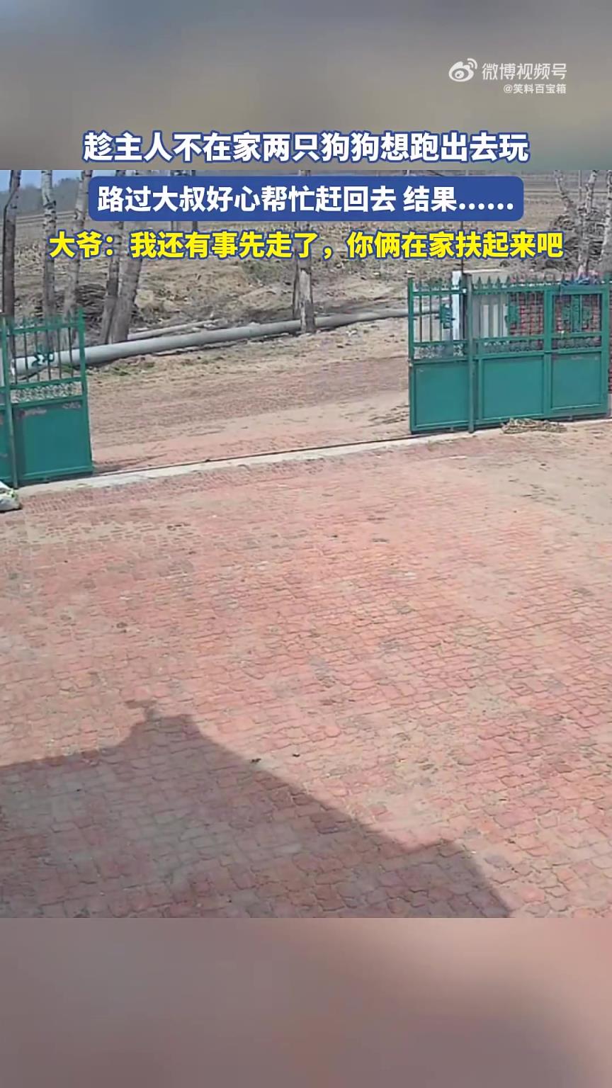 趁主人不在家，两只狗狗欲跑出去玩，大叔帮忙赶回去
