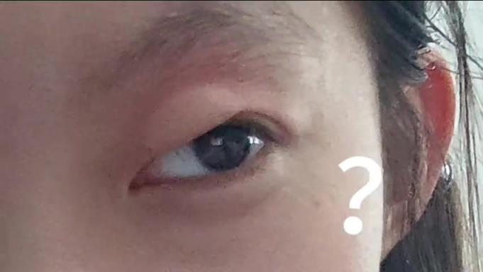 蚊子，我没空跟你闹了。