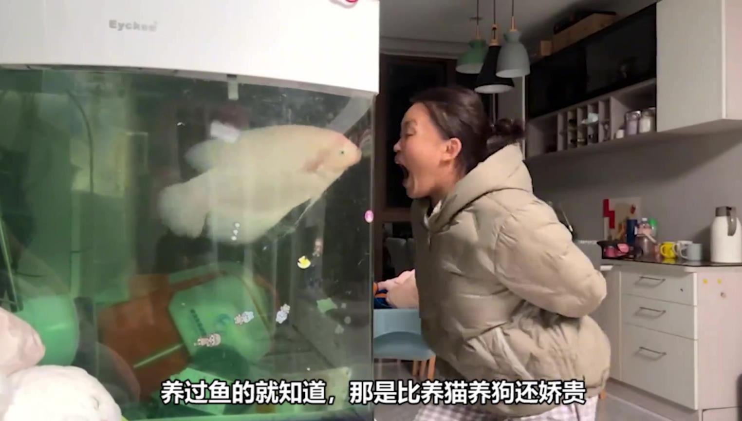 为什么野外的鱼不会被饿死。