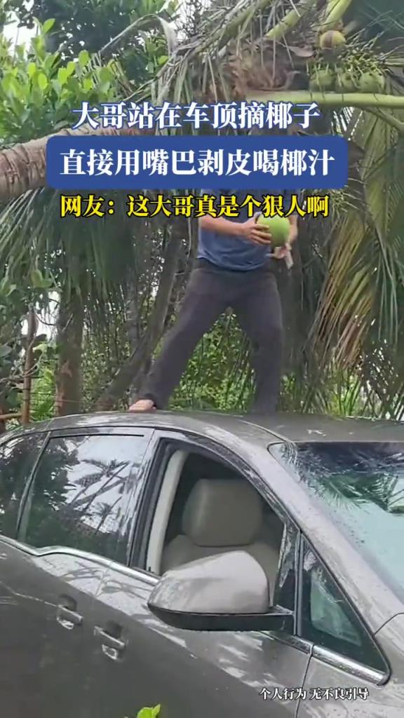 大哥站在车顶摘椰子,直接用嘴巴剥皮喝椰汁!!